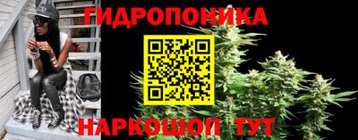мдпв Краснодар