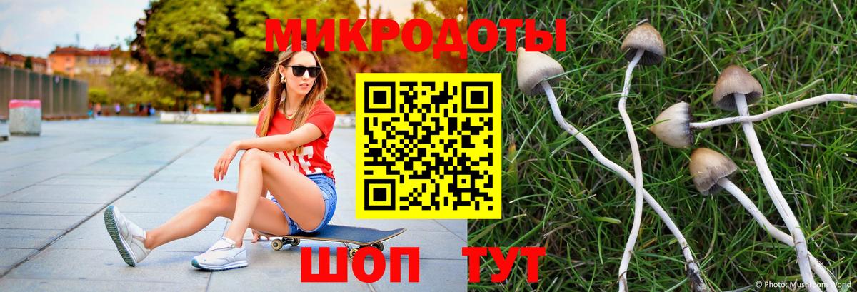Зерноград  Галлюциногенные грибы Psilocybe  Псилоцибиновые грибы Psilocybine cubensis  Вход с VPN 